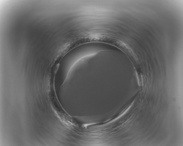 X0000066110496200603171426