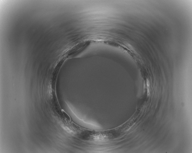 X0000066110500200603171426