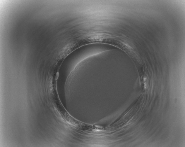 X0000066110504200603171426