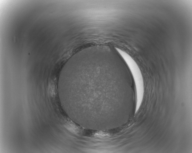 X0000066110515200603171426