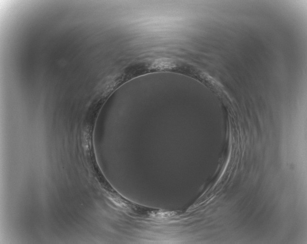 X0000066110517200603171426