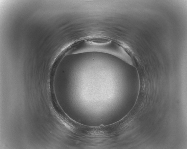 X0000066110535200603171425