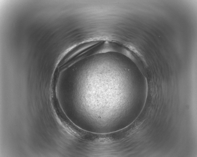 X0000066110536200603171425