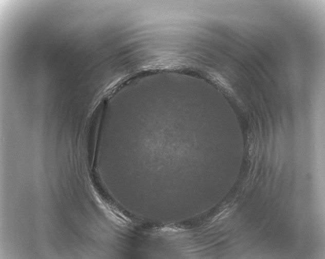 X0000066110542200603171425