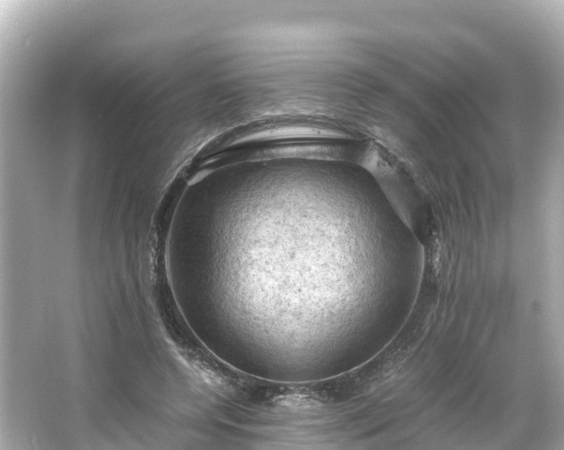 X0000066110544200603171425