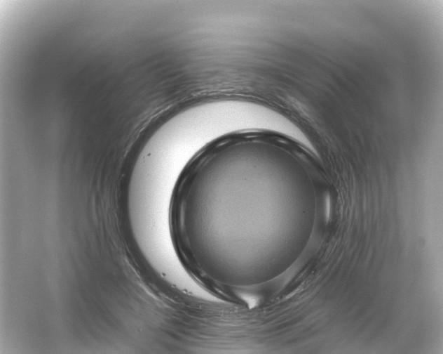 X0000066110548200603171425