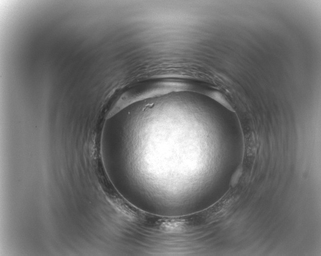 X0000066110560200603171425