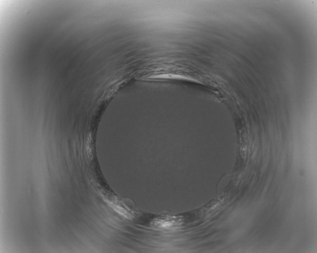 X0000066110563200603171426