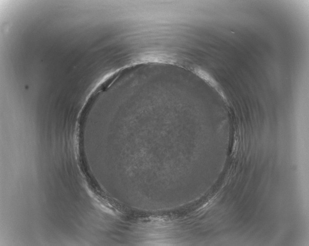 X0000066110580200603171425