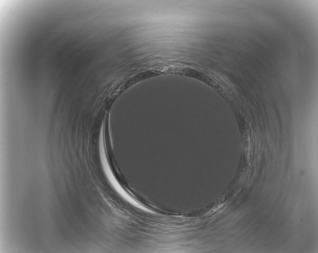 X0000066110607200603171424