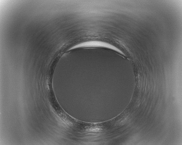 X0000066110643200603171424
