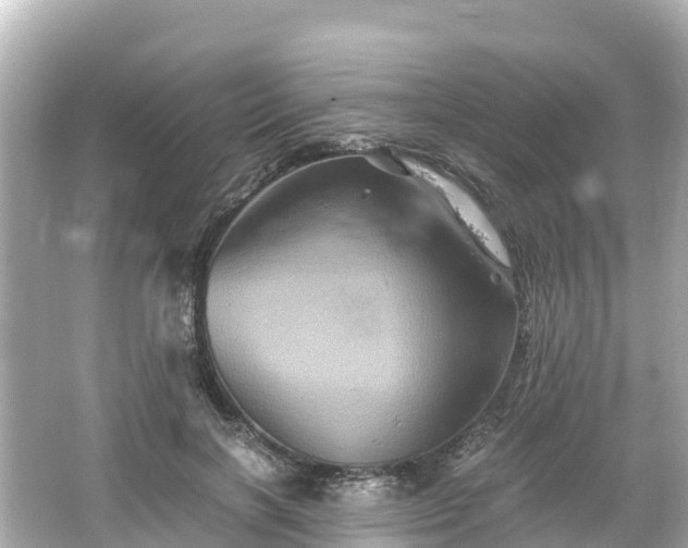 X0000066110646200603171424
