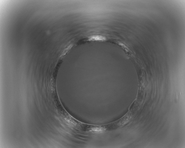 X0000066110659200603171424