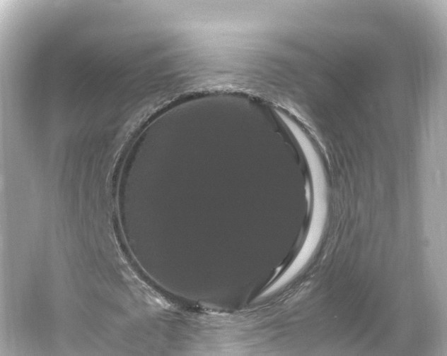 X0000066110673200603171423