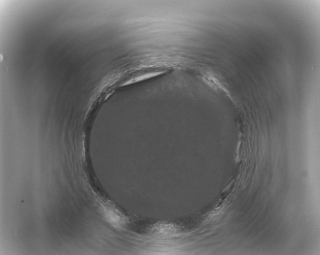 X0000066110685200603171423