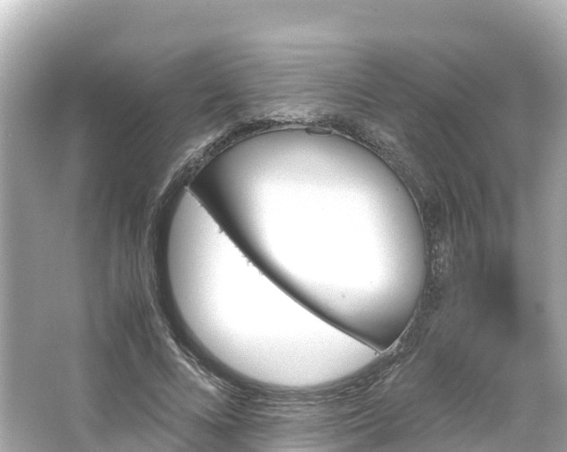 X0000066110688200603171423