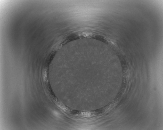 X0000066110709200603171423