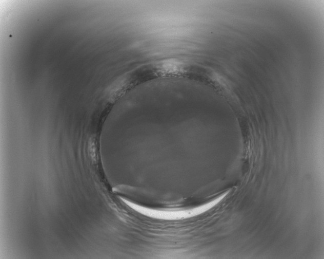 X0000066110715200603171423