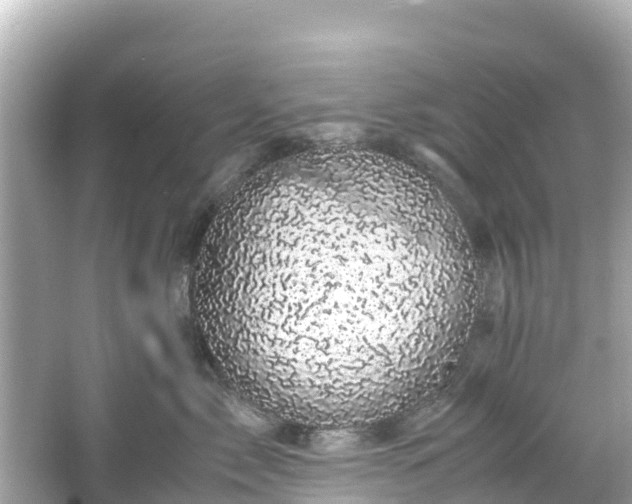 X0000066110717200603171423