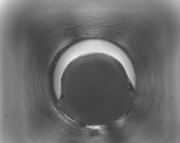 X0000066110735200603171422