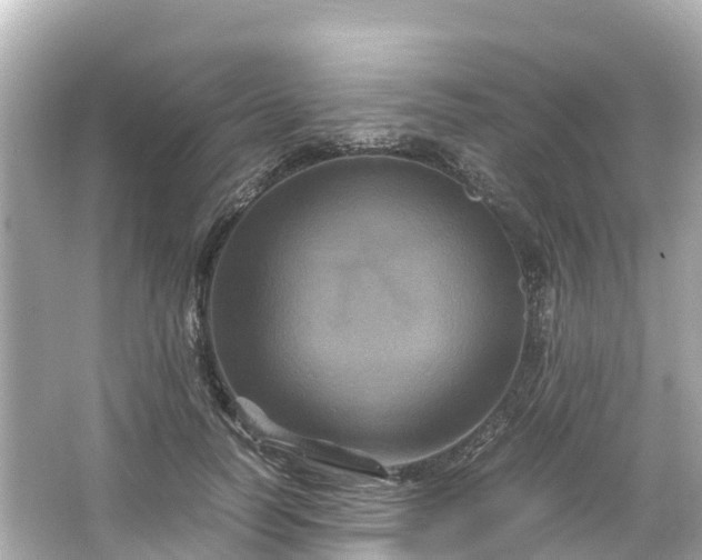X0000066110746200603171422