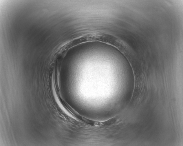 X0000066110773200603171422