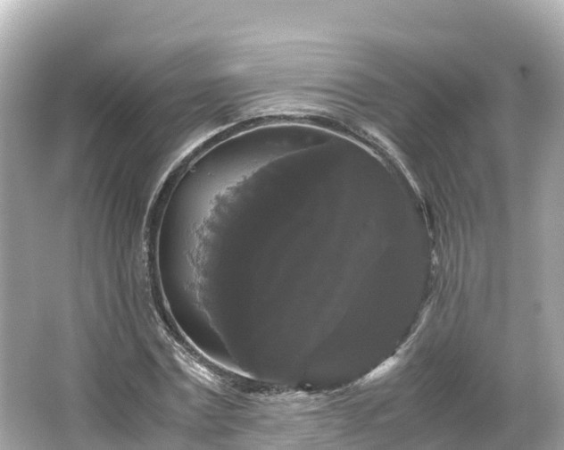 X0000066110779200603171422