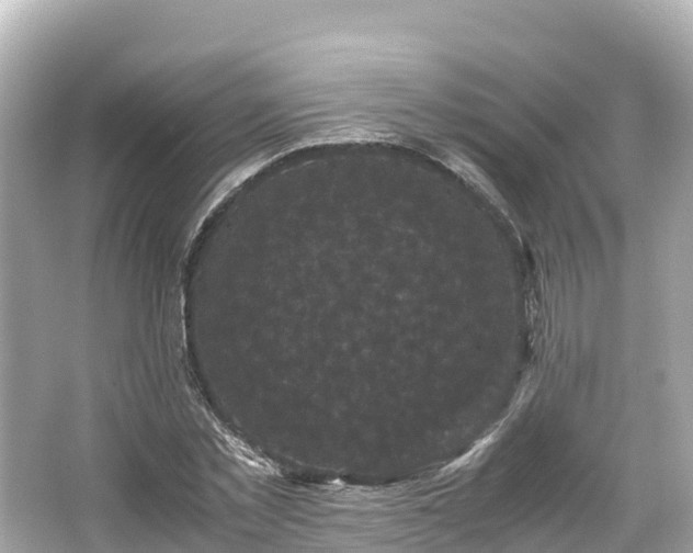 X0000066110781200603171421