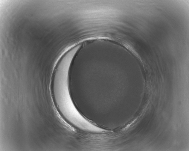 X0000066110797200603171421