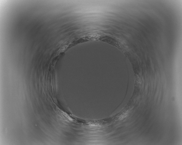 X0000066110818200603171420