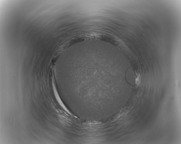 X0000066110819200603171420