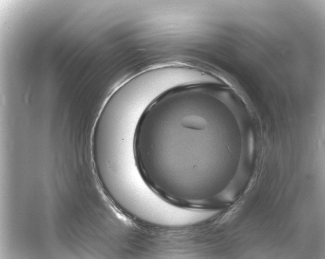 X0000066110858200603171421