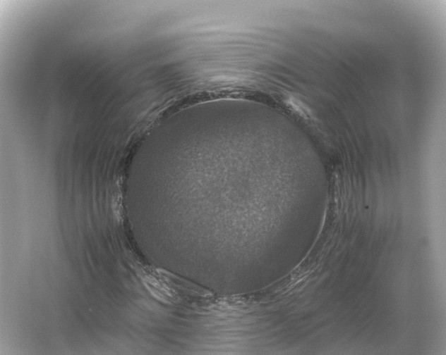 X0000066110868200603171420
