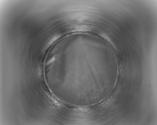 X0000066110874200603171420