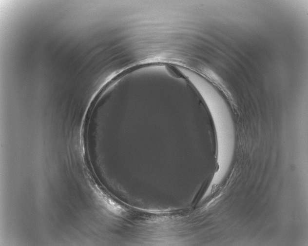 X0000066110892200603171420