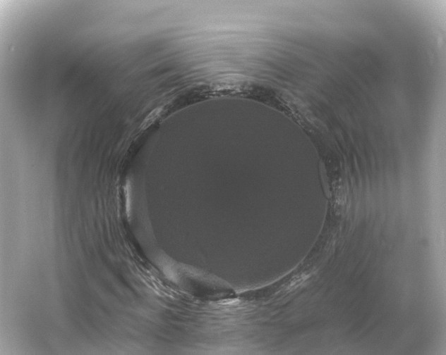 X0000066110916200603171419