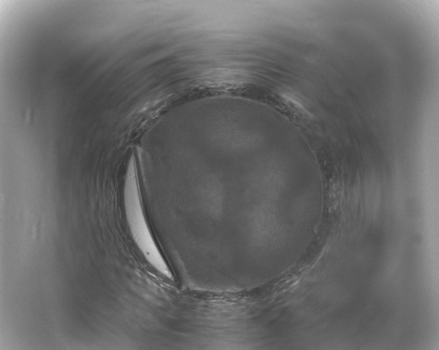 X0000066110917200603171419