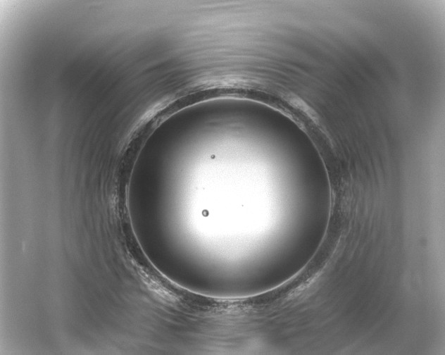 X0000066110922200603171419