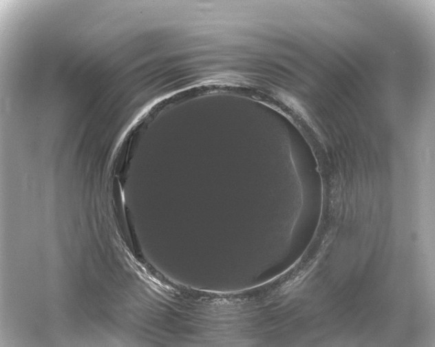 X0000066110923200603171419