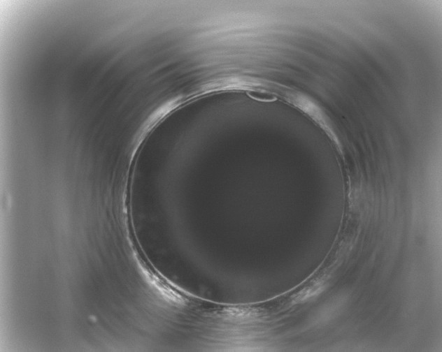 X0000066110954200603171419