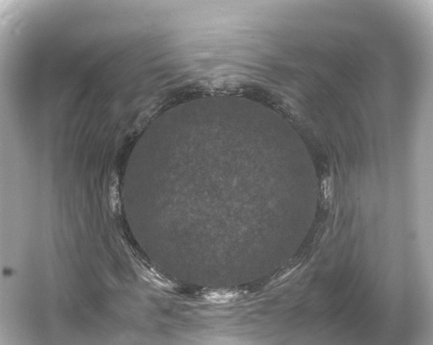 X0000066110963200603171418