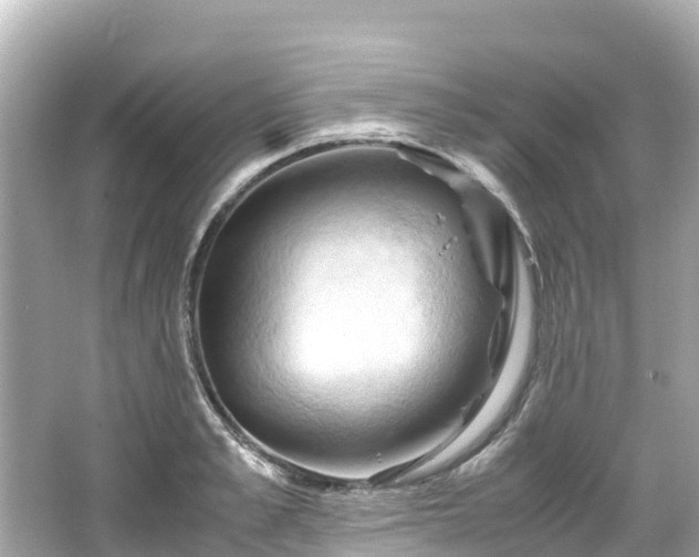 X0000066110989200603171418