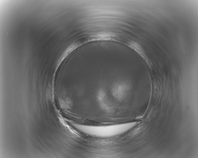X0000066110994200603171418