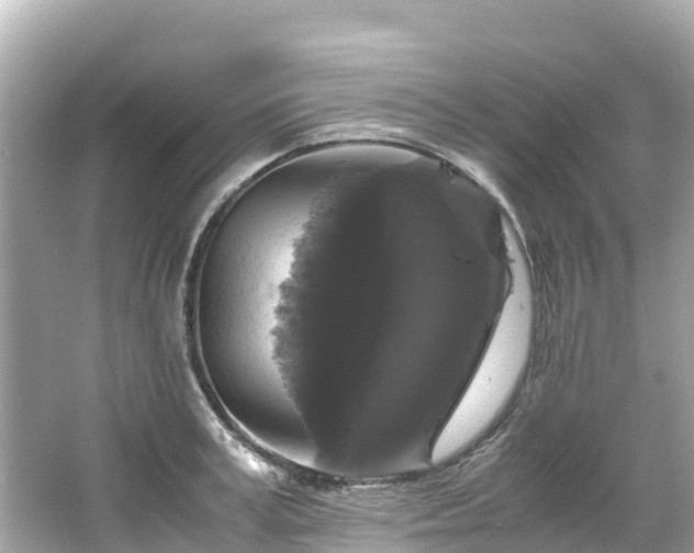 X0000066110995200603171418