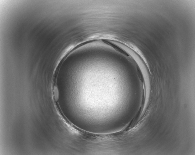 X0000066110997200603171418