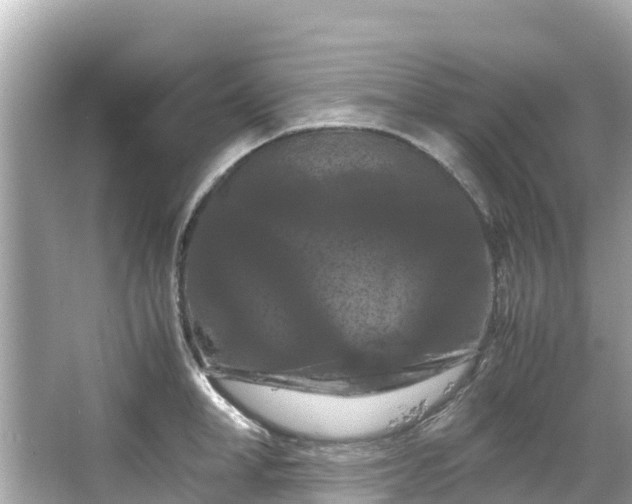 X0000066110998200603171418