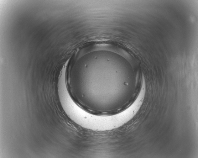 X0000066111010200603171417