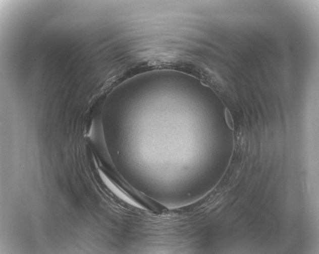 X0000066111012200603171417