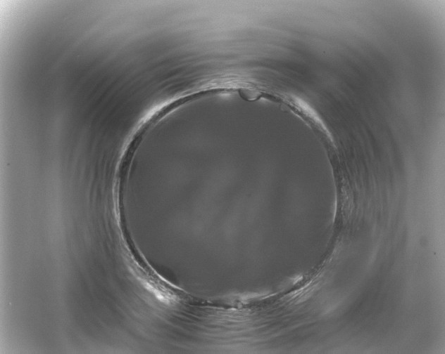 X0000066111035200603171417