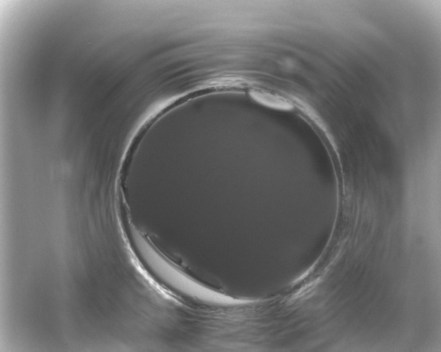 X0000066111045200603171417